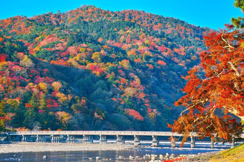 Kyoto Day Trip! Private Customizable Tour with Expert Guides - An In-Depth Look at the Tour