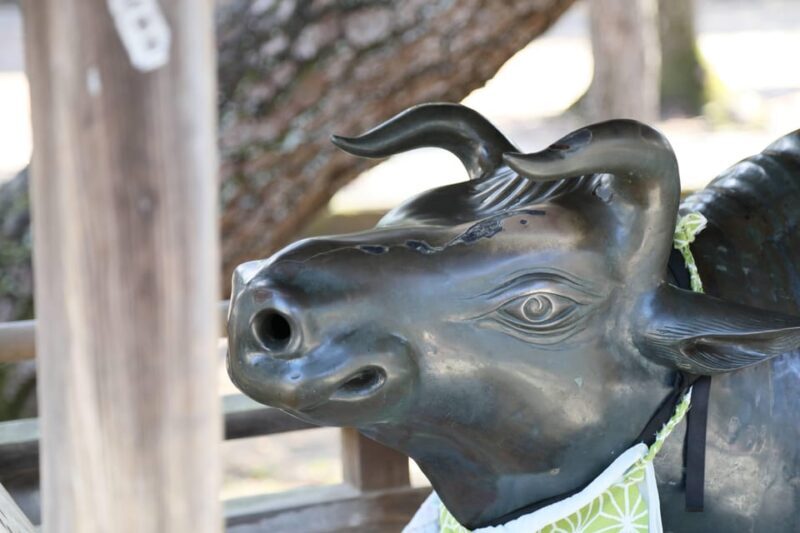 Kyoto: Discover the Oldest Geisha District, Kamishichiken - Pricing and Value