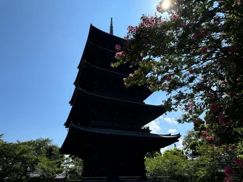 Kyoto: Discover What's Around Kyoto Station in 3 Hours - A Practical Look at the Tour