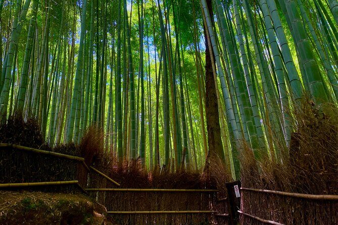 Kyoto Early Bird English Tour: Fushimi-Inari and Arashiyama - Fushimi Inari-taisha Shrine: The Heart of Kyotos Spirituality