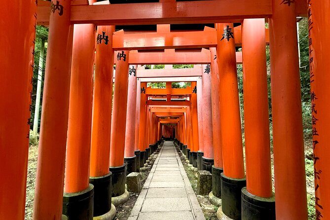 Kyoto Early Bird English Tour: Fushimi-Inari and Arashiyama - Value for Money