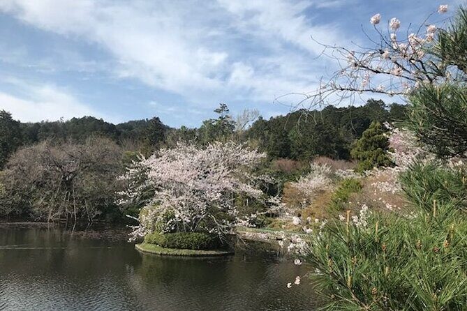 Kyoto Early Bird Half Day Private Tour with Transfer - A Detailed Look at the Tour Itinerary