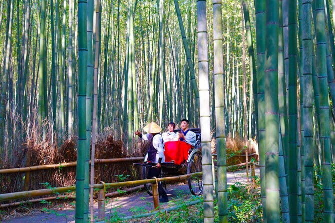 Kyoto Early Bird Tour: Fushimi Inari, Arashiyama Bamboo & Monkeys - What’s Included and What to Expect