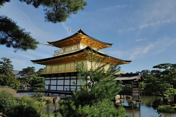 Kyoto Early Bird Tour Tokyo Round Trip Shinkansen Option - Who Should Consider This Tour?