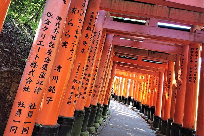 Kyoto Early Bird Walking Tour - Key Points