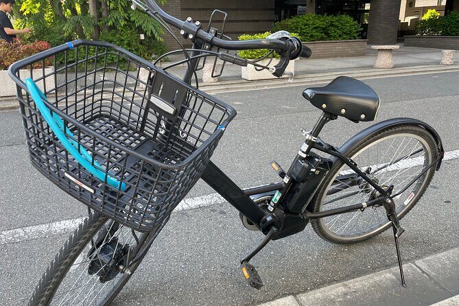 Kyoto Early Morning E Biking Tour (Shrines & Temples) - Analyzing the Value