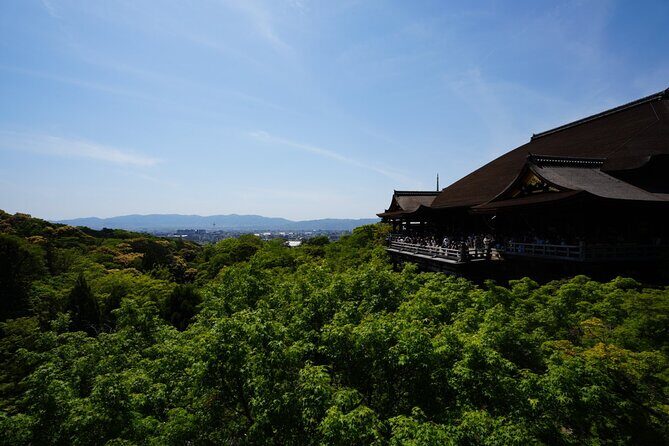 Kyoto Early Morning E Biking Tour (Shrines & Temples) - Who Will Love This Tour?