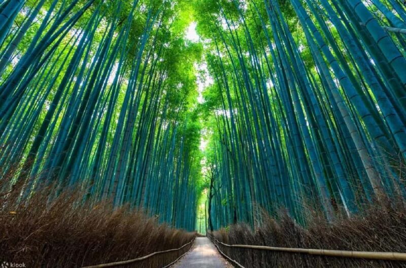Kyoto: Early Morning Landmarks Tour with Pickup - Kyoto: Early Morning Landmarks Tour with Pickup — A Practical Guide for Curious Travelers