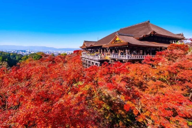 Kyoto: Early Morning Landmarks Tour with Pickup - Who Should Consider This Tour?