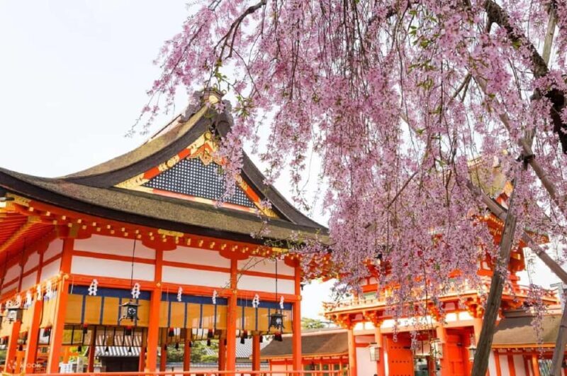 Kyoto: Early Morning Landmarks Tour with Pickup - FAQ