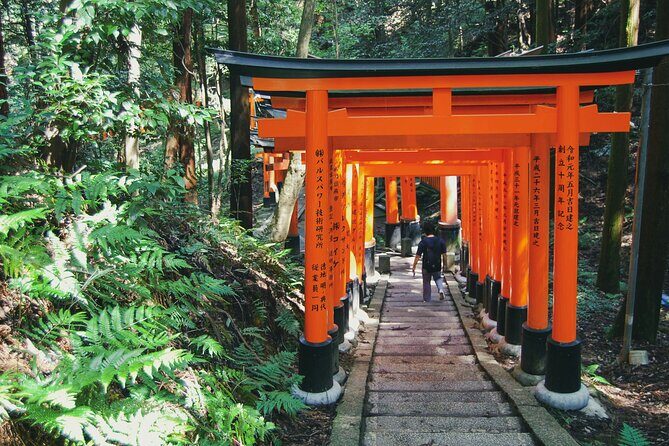Kyoto: Early Morning Tour (Fushimi Inari, Nijo & Kinkaku-ji) - What We Love About the Experience