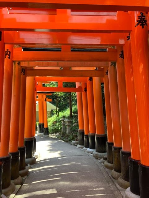 Kyoto: Essential Tour with Fushimi Inari & Bamboo Grove - A Taste of Kyoto’s Most Famous Sights