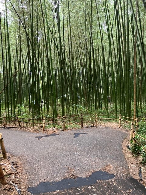 Kyoto: Essential Tour with Fushimi Inari & Bamboo Grove - Who Should Book This Tour?