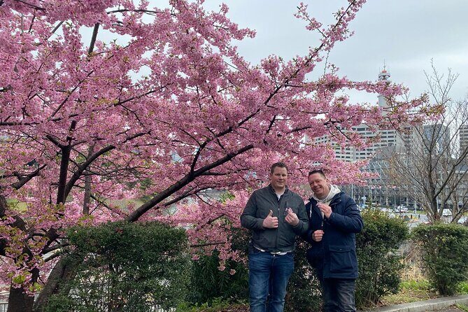 Kyoto Essentials Half Day Walking Tour with Cultural Expert - Practical Details and Value