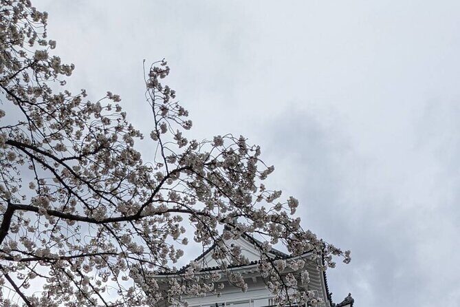 Kyoto Essentials Half Day Walking Tour with Cultural Expert - Who Will Love This Tour?