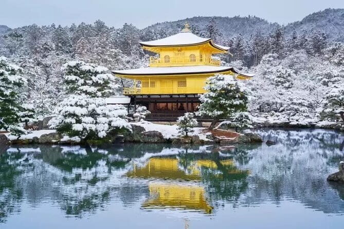 Kyoto Exclusive Private Tour with Vehicle & Professional Guide - A Detailed Look at the Kyoto Private Tour