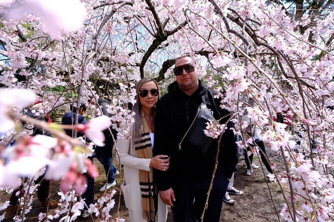 KYOTO Explore Top Highlights by Private Walking Tour - A Practical Look at the Tour Experience