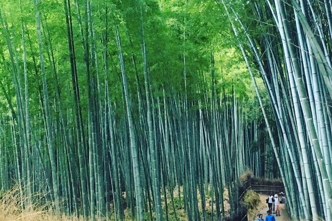 KYOTO Explore Top Highlights by Private Walking Tour - FAQ