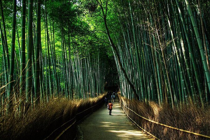 Kyoto: Flexible 3 hours tour with a local guide - Authenticity and flexibility