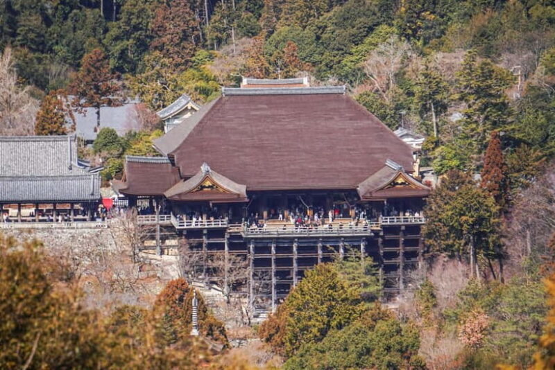 Kyoto from Above: Hike Mt. Amida with Kiyomizu Views - What reviewers say