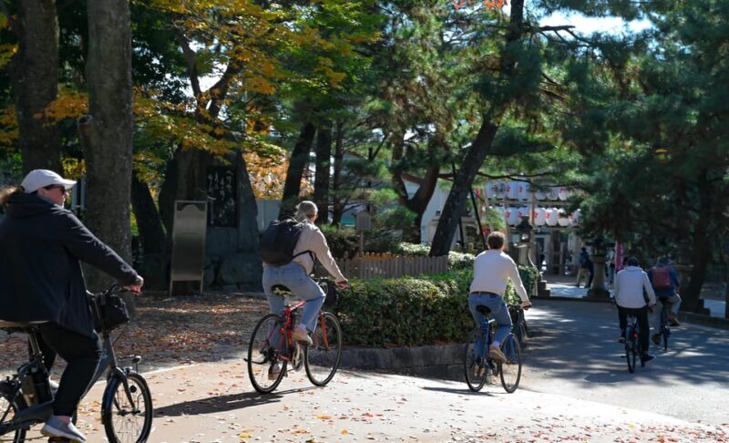 Kyoto: Full Day Bike Tour - Final Thoughts