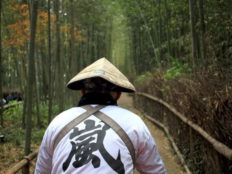 Kyoto: Full-Day Guided Tour of Kyoto's Top Highlights - An In-Depth Look at the Tour