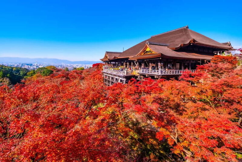 Kyoto: Full-Day Guided Tour of Kyoto's Top Highlights - Frequently Asked Questions