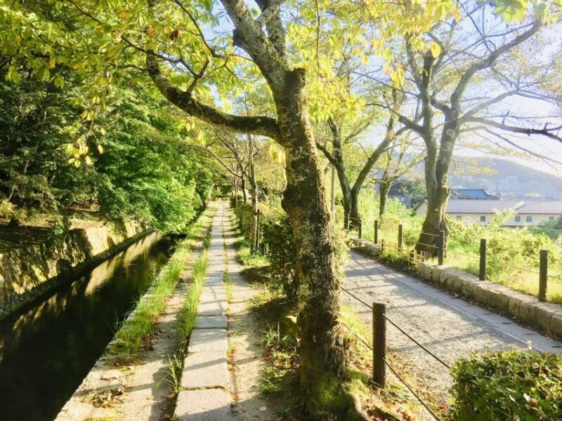Kyoto: Full-Day Private Guided Tour of Temples and Shrines - Key Points