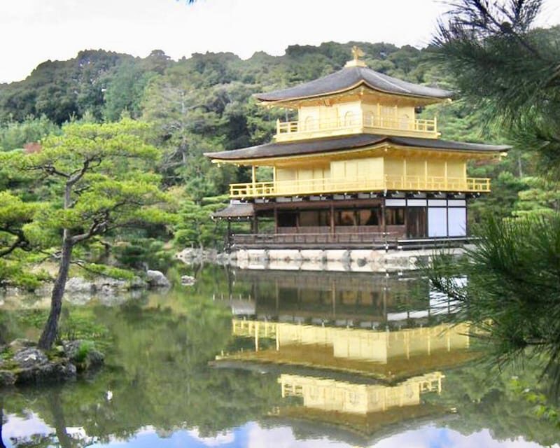 Kyoto: Full-Day Private Guided Tour of Temples and Shrines - What Reviewers Say
