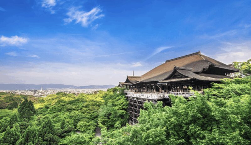 Kyoto: Fully-Customized One-day Private Tour - Who Should Consider This Tour