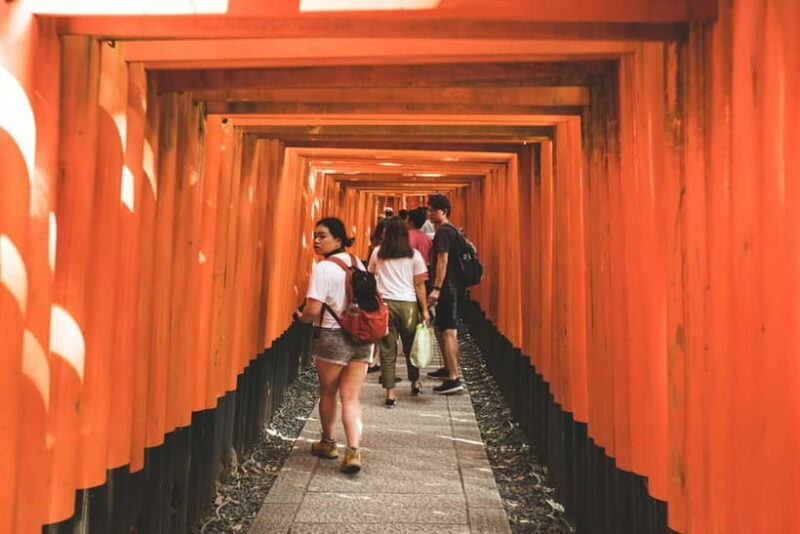 Kyoto: Fushimi, Arashiyama - Bamboo, Monkey, Torii & Secrets - Who Will Enjoy This Tour?