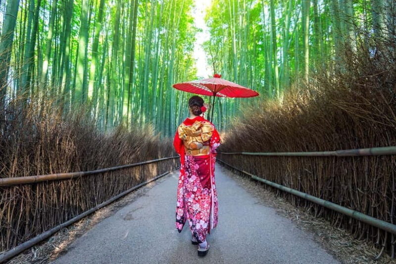 Kyoto: Fushimi, Arashiyama - Bamboo, Monkey, Torii & Secrets - The Bottom Line