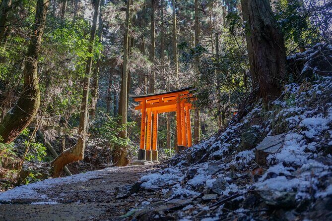 Kyoto: Fushimi Inari Hidden Hike (Private) - Exploring Kyoto’s Hidden Trails: A Review of the Fushimi Inari Private Hike