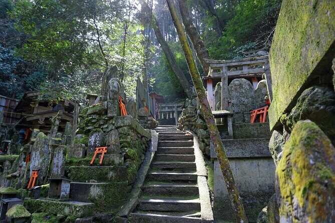 Kyoto: Fushimi Inari Hidden Hike (Private) - Who Will Love This Experience?
