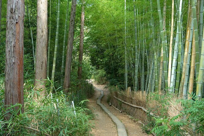 Kyoto: Fushimi Inari Hidden Hike (Private) - The Sum Up