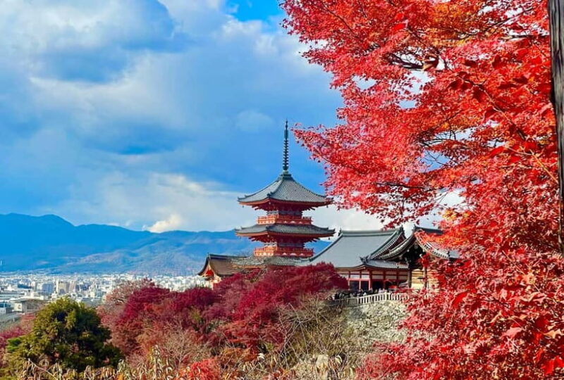 Kyoto: Fushimi Inari-taisha y Kiyomizu-dera (Spanish Guide) - What Travelers Say