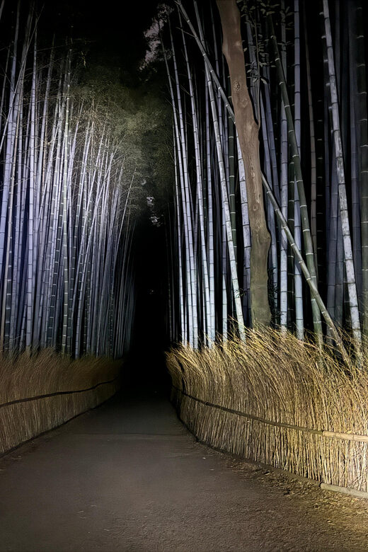 Kyoto: Ghost Tour - Legends, Dark Tales, Bamboo Forest Night - Exploring Kyoto’s Haunted Side: A Nighttime Journey