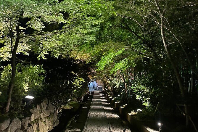 Kyoto: Gion Magical Night Walking Tour - Final thoughts