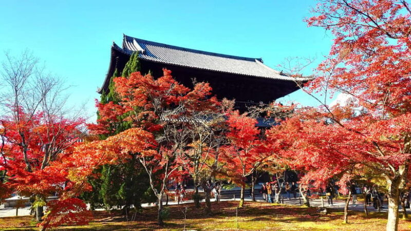 Kyoto: Guided Cycling Tour along Higashiyama's Waterfront - Why This Tour Stands Out