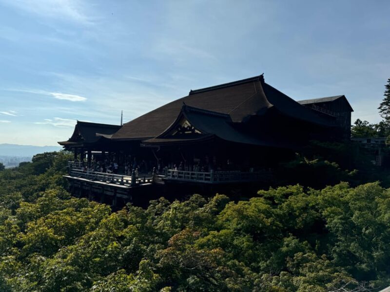 Kyoto: Guided Tour in UNESCO Site, Kiyomizu-dera - 90 Min. - Who Should Consider This Tour?