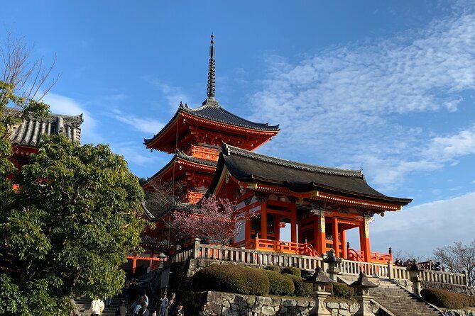 Kyoto Guided Walking Tour Highlight of Kiyomizu & Fushimi Inari - What Travelers Are Saying