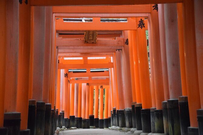 Kyoto Guided Walking Tour Highlight of Kiyomizu & Fushimi Inari - Why This Tour Is a Great Choice
