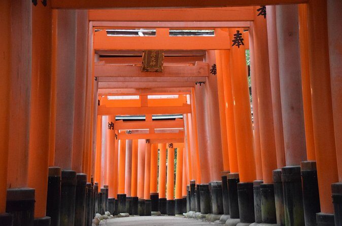Kyoto Guided Walking Tour Highlight of Kiyomizu & Fushimi Inari - Final Thoughts