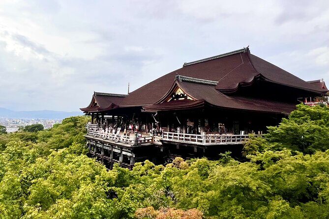 Kyoto Half Day Highlights Tour - Final Thoughts