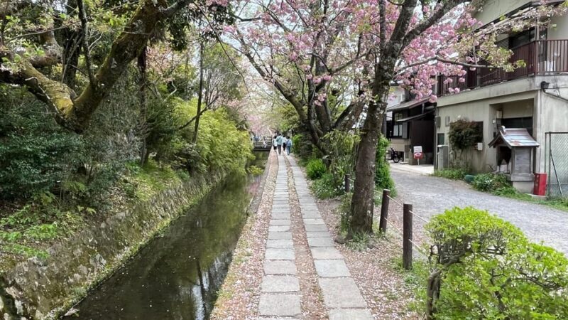 Kyoto: Half-Day Private Guided Tour of the Silver Pavilion - The Experience of a Private Guide