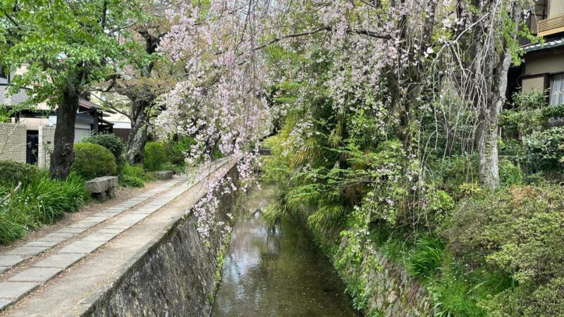 Kyoto: Half-Day Private Guided Tour of the Silver Pavilion - Final Word