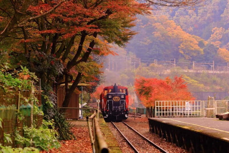 Kyoto: Hidden Gems Tour with Scenic Train Ride and Temples - Key Points