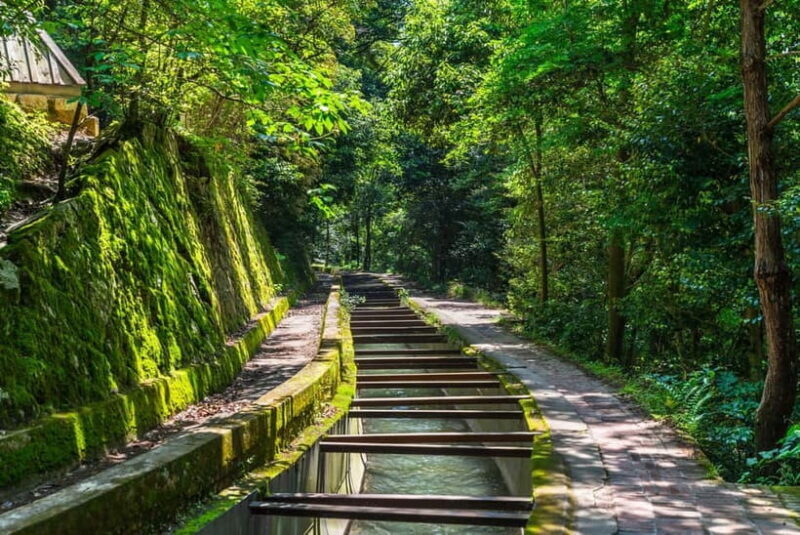 Kyoto: Hidden Gems Tour with Scenic Train Ride and Temples - Overview of the Tour Experience
