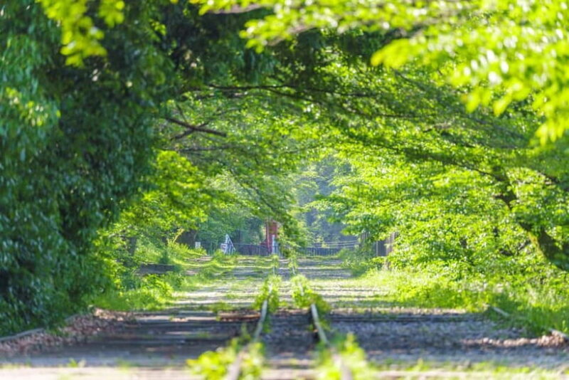 Kyoto: Hidden Gems Tour with Scenic Train Ride and Temples - The Sum Up