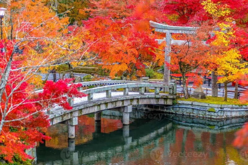 Kyoto: Higashiyama Hues: Discover Kyoto's Autumn Magic - An In-Depth Look at the Kyoto Higashiyama Hues Tour